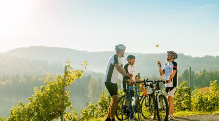 Radfahren im Hügel- und Schöcklland | © Region Graz | Mias Photoart