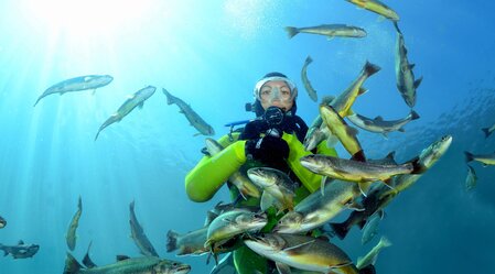 Tauchen im Alpenaquarium | © Tauchunternehmen Grüblsee | Heinz Toperczer