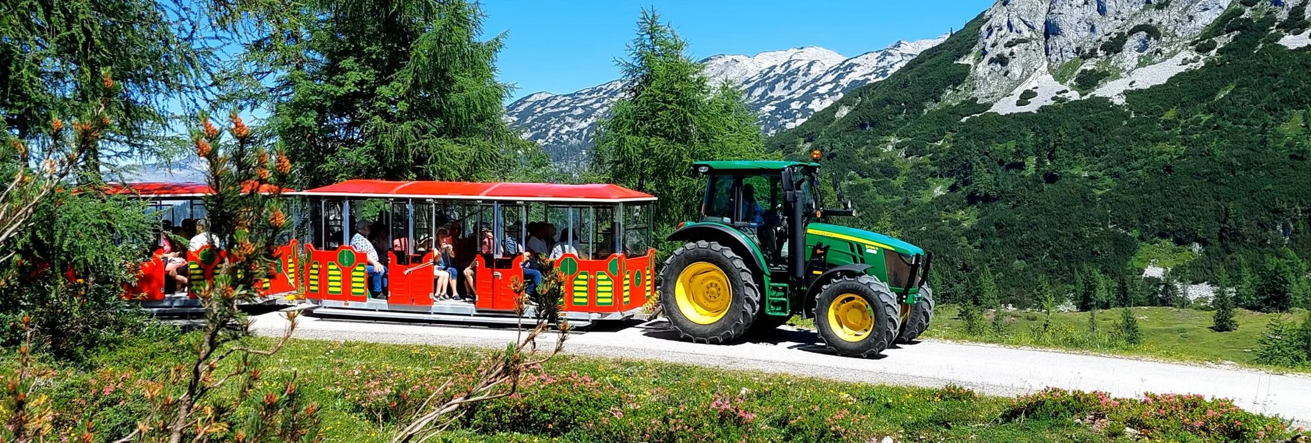 Themen- und Genussfahrten zur Almrauchblüte und zu den goldenen Lärchen | © www.hollhaus.at