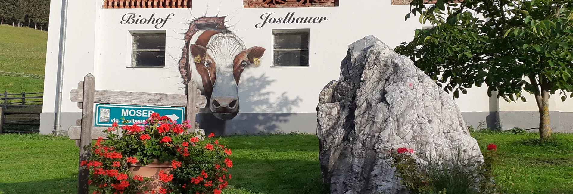 PackageGruppenausflug im Sommer/Winter  -  | © Biohof Joslbauer