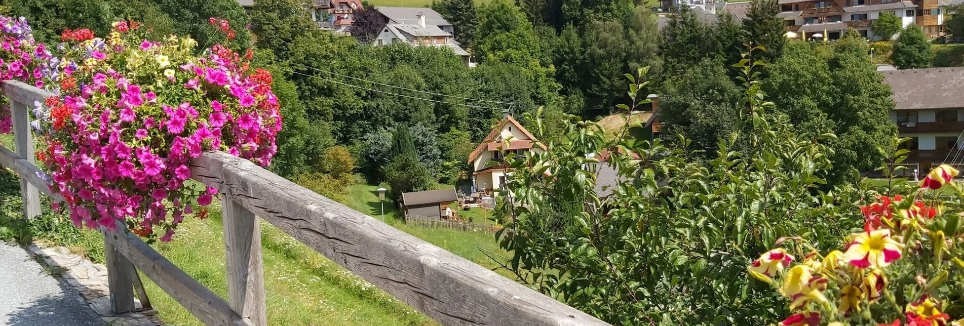 Themen- und Lehrpfad Vogelbeer-Panoramaweg, St. Kathrein/O. - Touren-Impression #1 | © Oststeiermark Tourismus