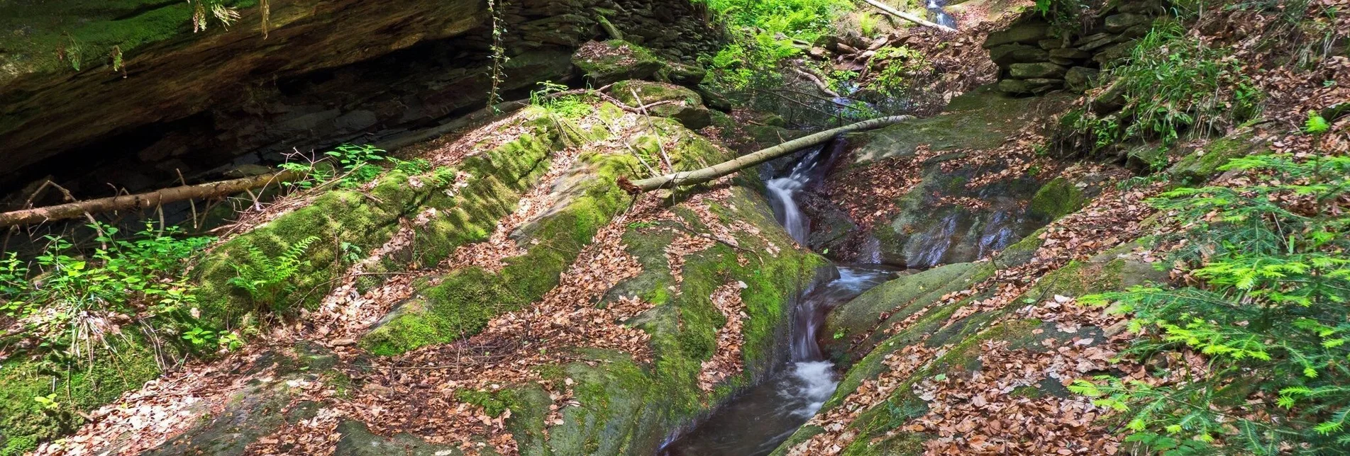 Wanderung Hinterbrühlweg, Stubenberg - Touren-Impression #1 | © Oststeiermark Tourismus