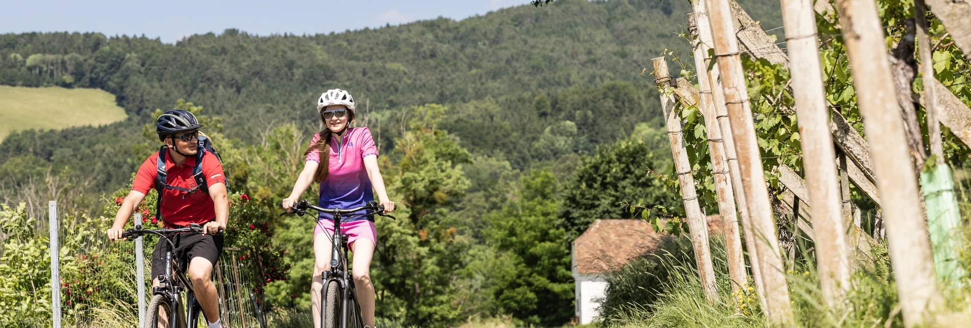 Radfahren VeloVital Schmankerltour, Hartberg - Touren-Impression #1 | © Oststeiermark Tourismus