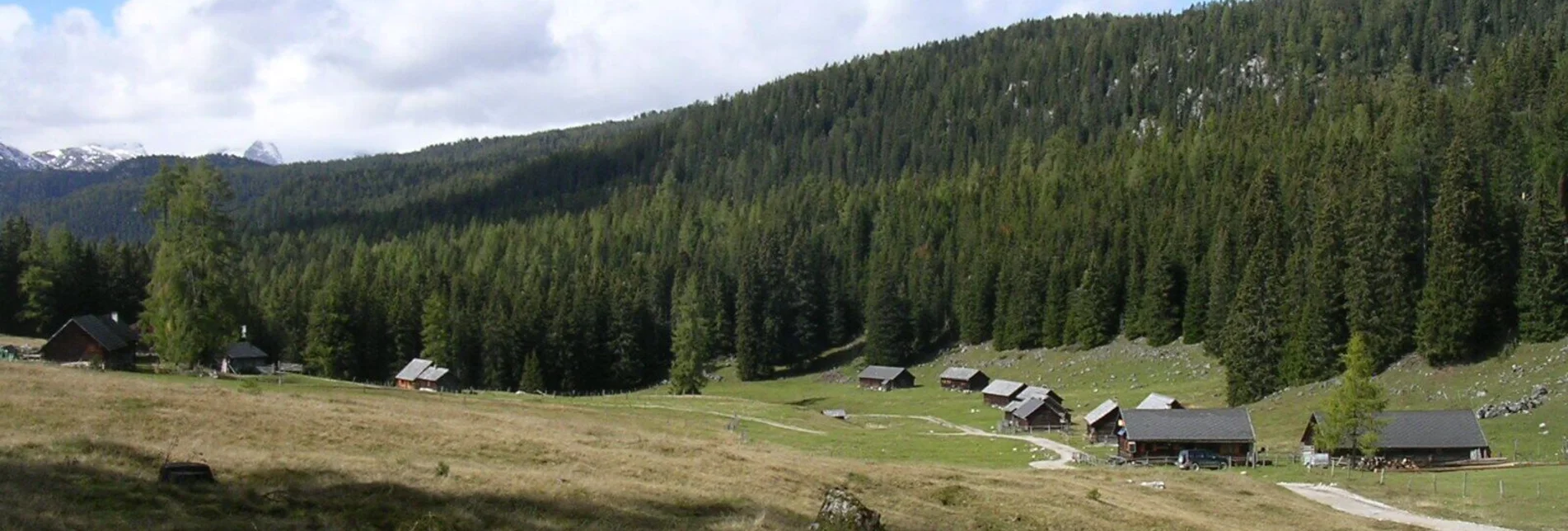 Wanderung Viehbergalm - Miesbodensee - Touren-Impression #1 | © Erlebnisregion Schladming-Dachstein