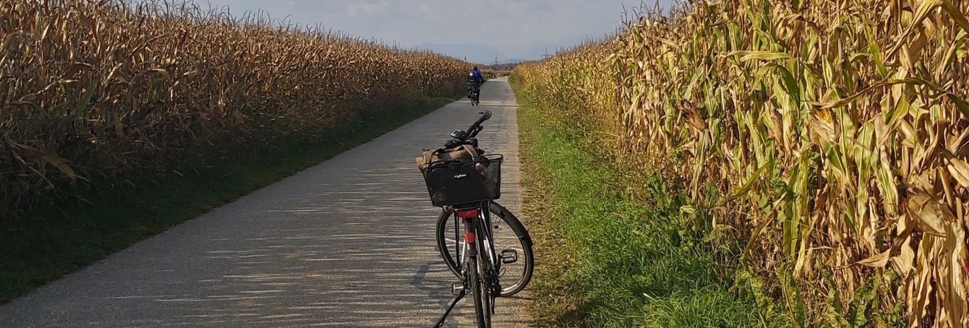 Radfahren Sonnentour, Gleisdorf - Touren-Impression #1 | © Oststeiermark Tourismus