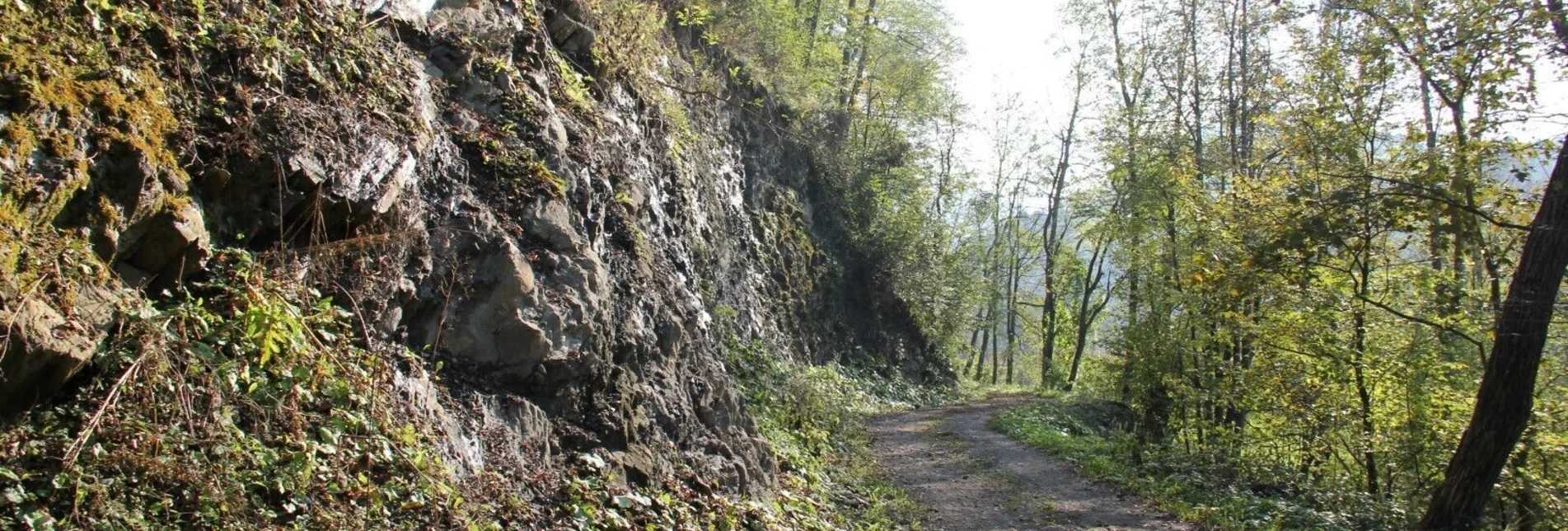 Wanderung Kleeblattwanderweg Nr. 2 - Wandern in Leutschach a.d.W. - Touren-Impression #1 | © Ulrike Elsneg