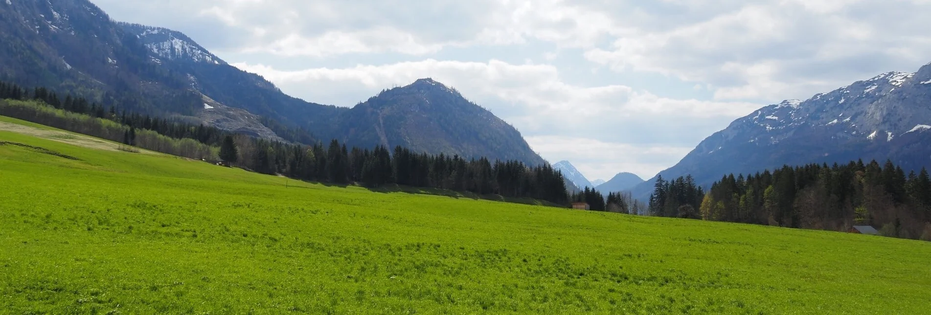 Themen- und Lehrpfad Kräuterrundweg in Gößl - Touren-Impression #1 | © Ausseerland