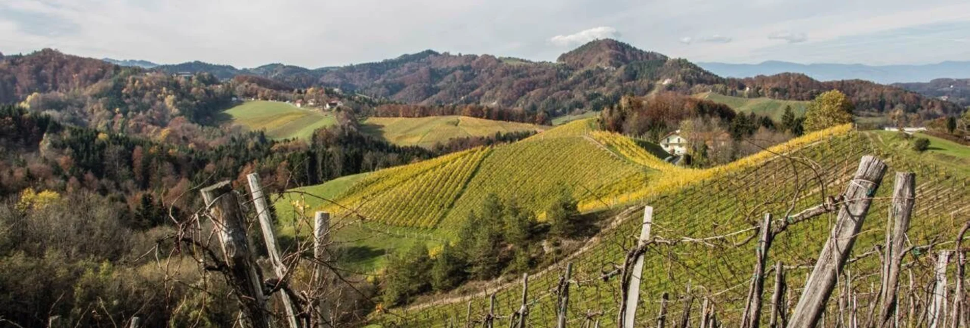 Wanderung Leutschacher Weinwanderweg mit Baukultur - Touren-Impression #1 | © Baukultur