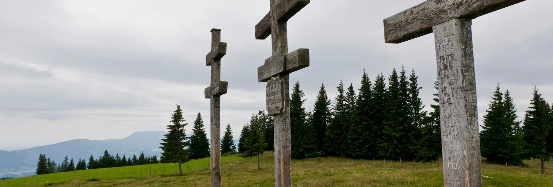 Hiking route Stage 25 From Glacier to Wine North Route Almenland Brandlucken - Anger - Touren-Impression #1 | © (c) Steiermark Tourismus/Leo Himsl