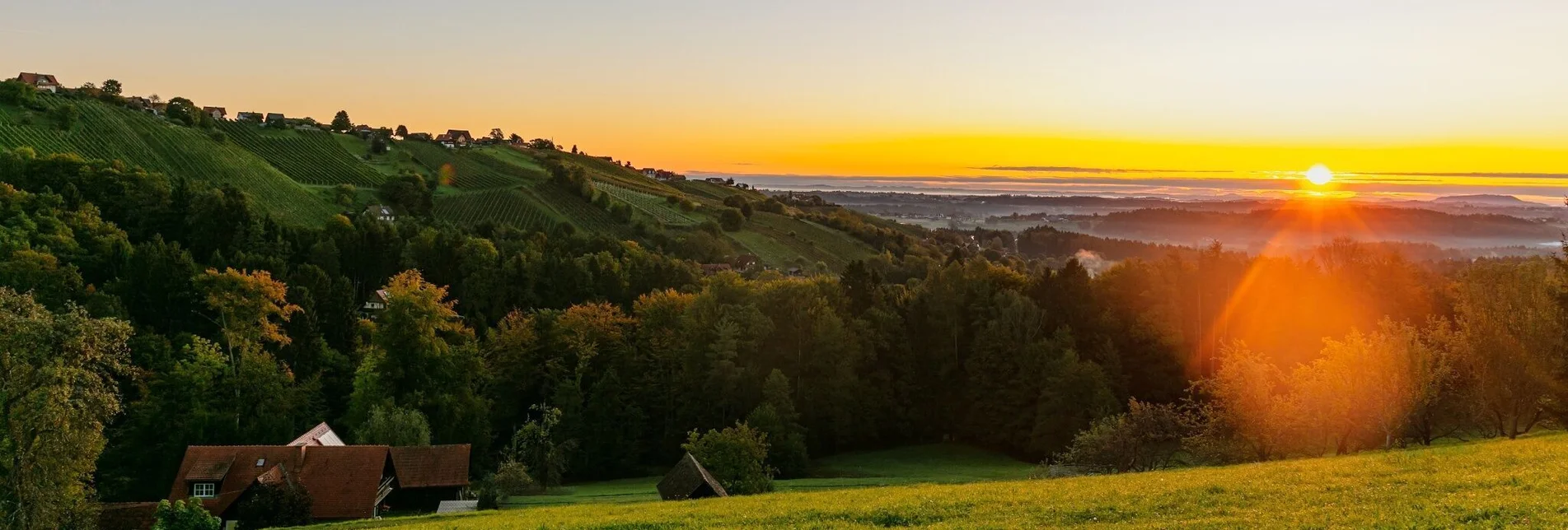 Wanderung GenussSchilchern DORT (mittel) - Touren-Impression #1 | © TVB Südsteiermark/Foto Augenblick