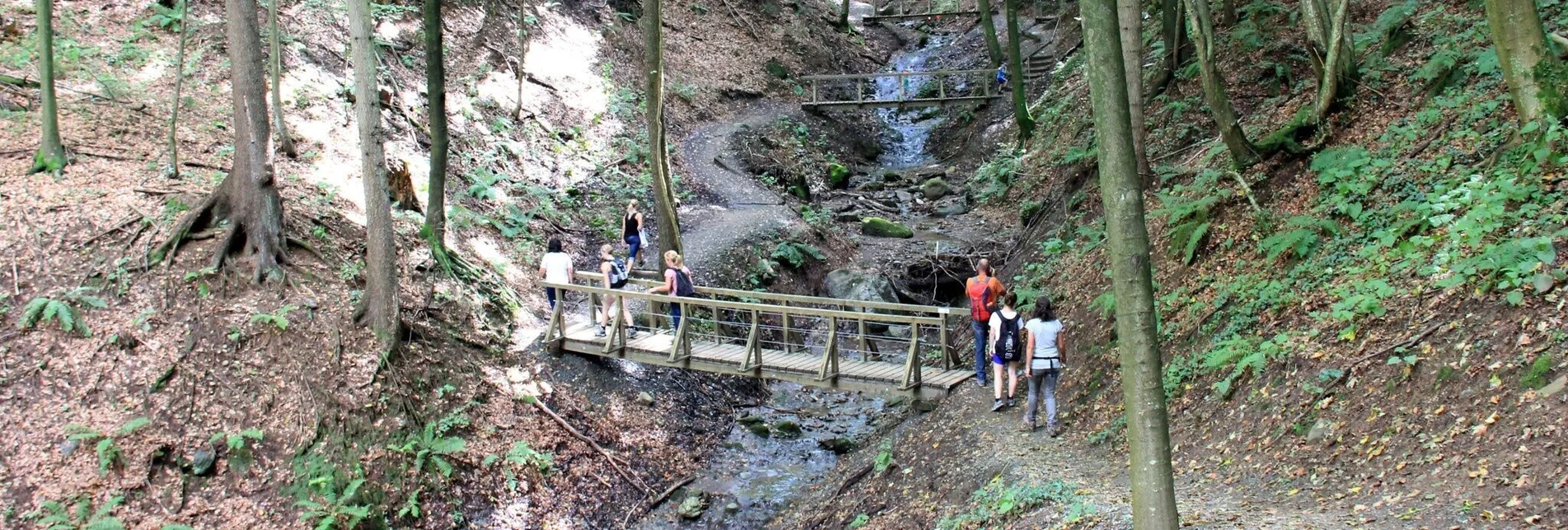 Wanderung Altenbachklamm – Tour 22 lt. WK „Von der Alm zum Wein“ - Touren-Impression #1 | © TV Die Südsteirische Weinstraße/Ulrike Elsneg