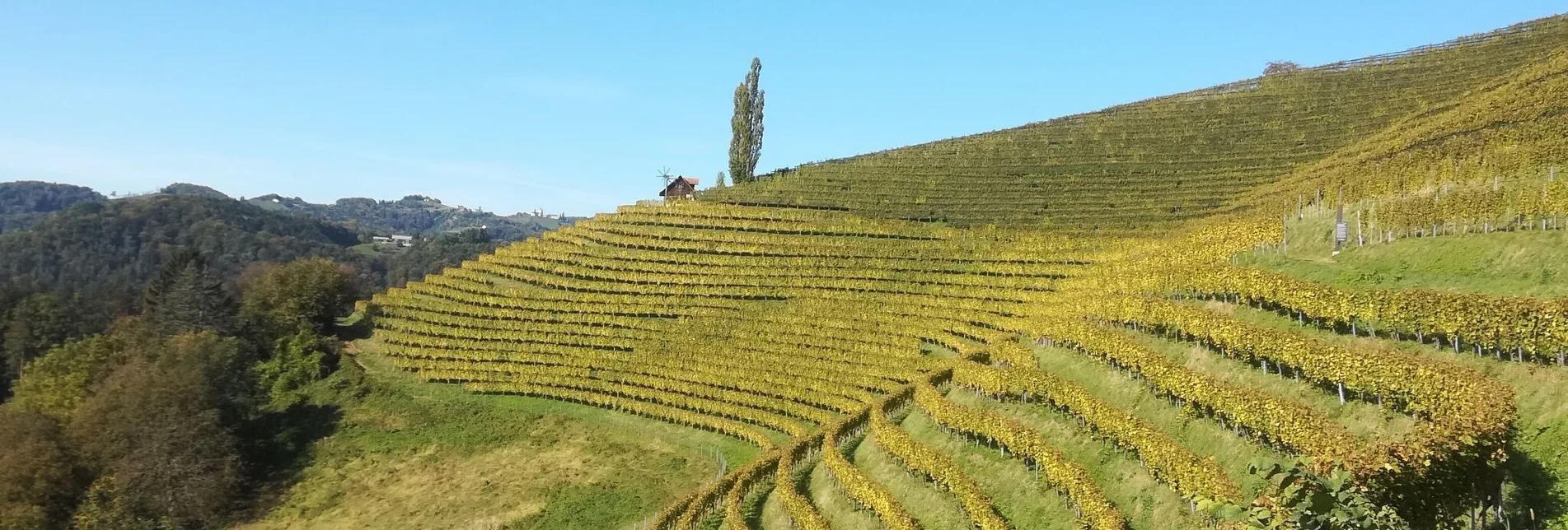 Hiking route Heimschuher Round North No. 4 - Touren-Impression #1 | © TV Südsteiermark