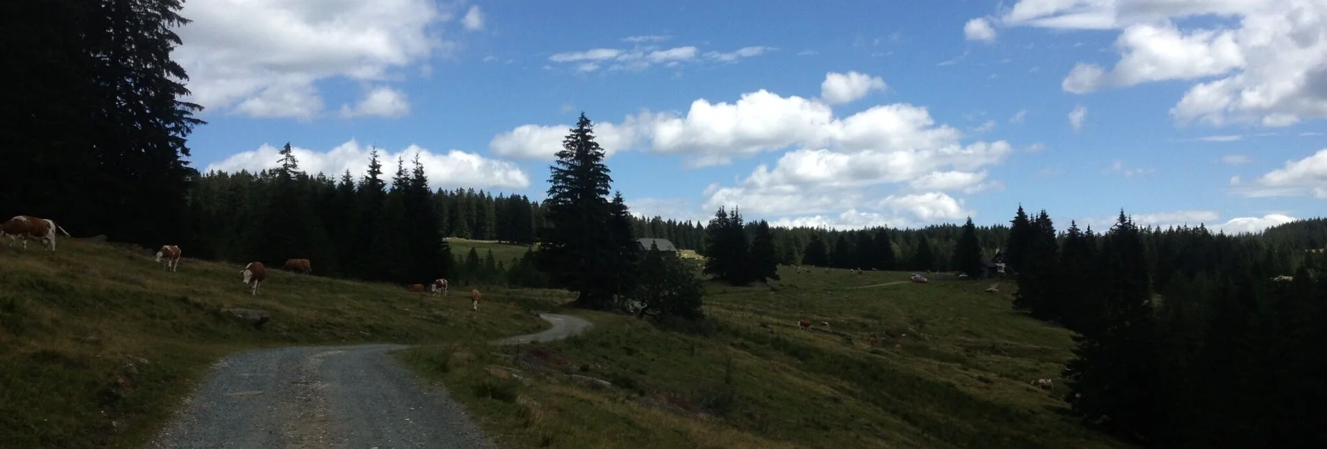 Hiking route Winkelwanderung: Von Modriach-Winkel auf die Hebalm - Touren-Impression #1 | © Community