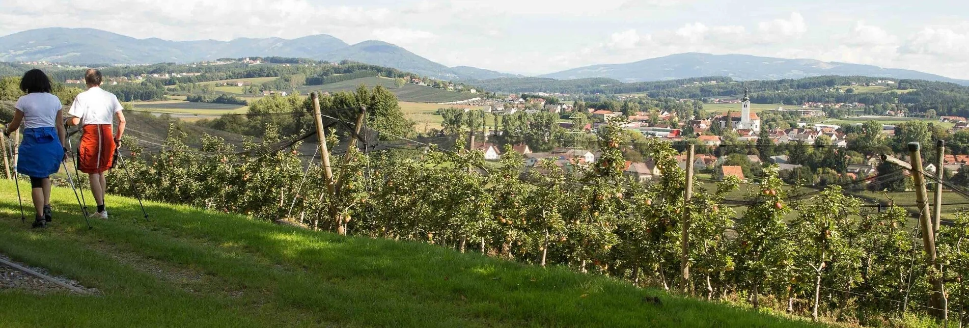 Wanderung Rauchenbergweg, St. Ruprecht/Raab - Touren-Impression #1 | © Oststeiermark Tourismus