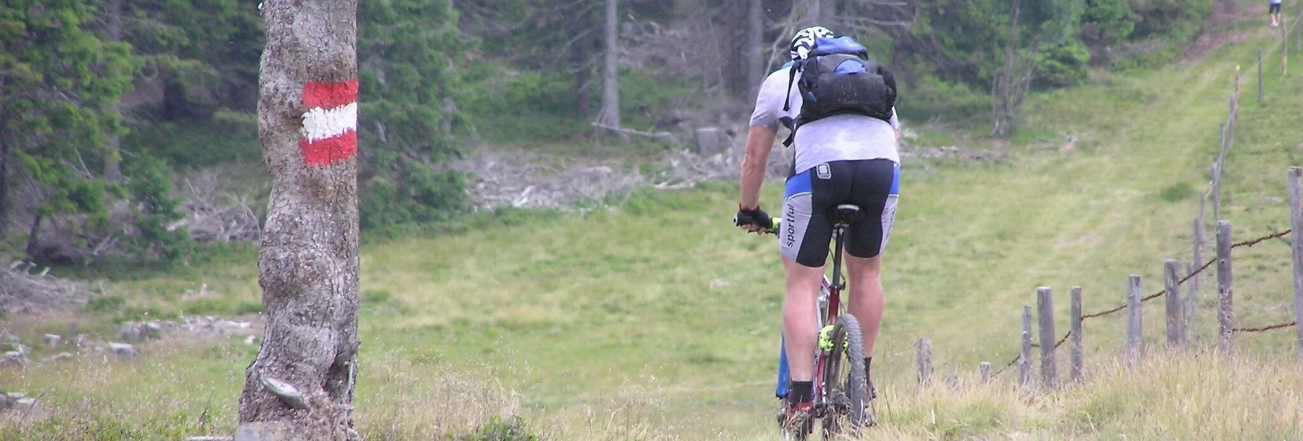 Mountainbike Mountainbikestrecke auf die Stanglalpe - Touren-Impression #1 | © TV Hochsteiermark