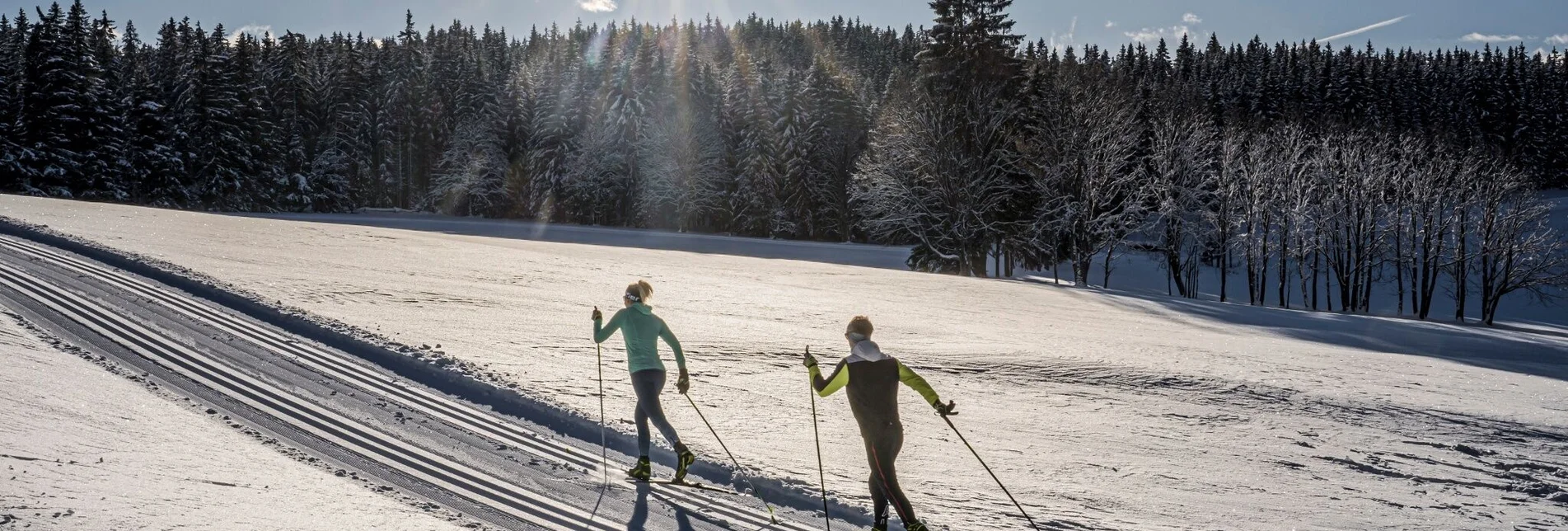 Langlauf Skating Kulmberg  Waldloipe - Touren-Impression #1 | © Erlebnisregion Schladming-Dachstein