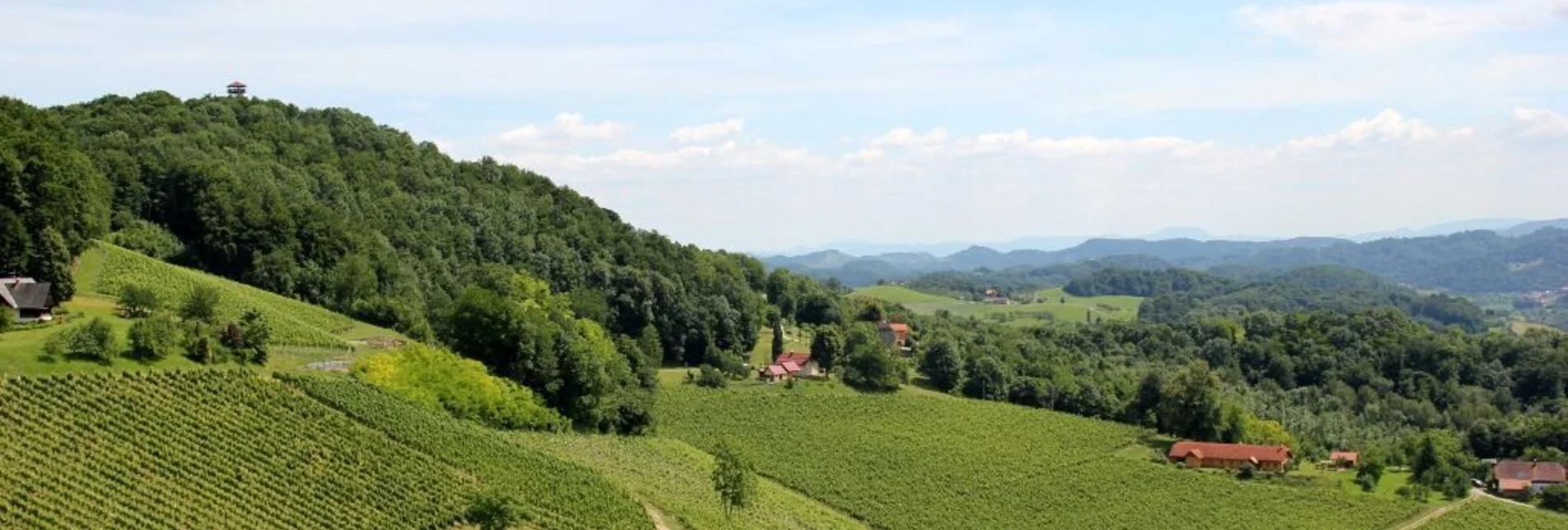 Radfahren Genussradeln - Weinstraßen Tour Variante 2 - "Ratsch" - Touren-Impression #1 | © Südsteiermark