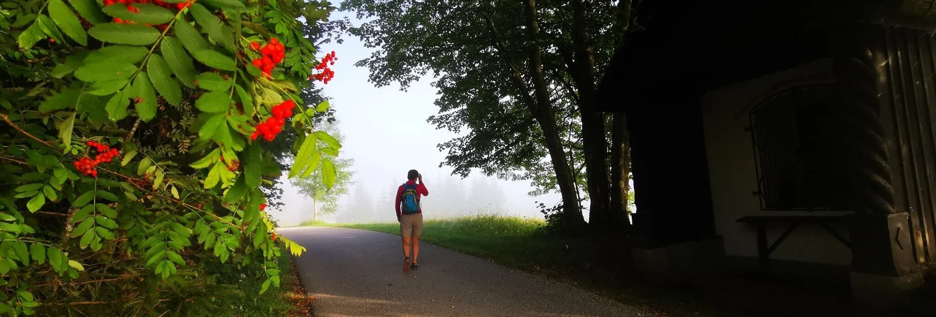 Wanderung Mariazellerland Rundwanderweg - Touren-Impression #1 | © TV Hochsteiermark