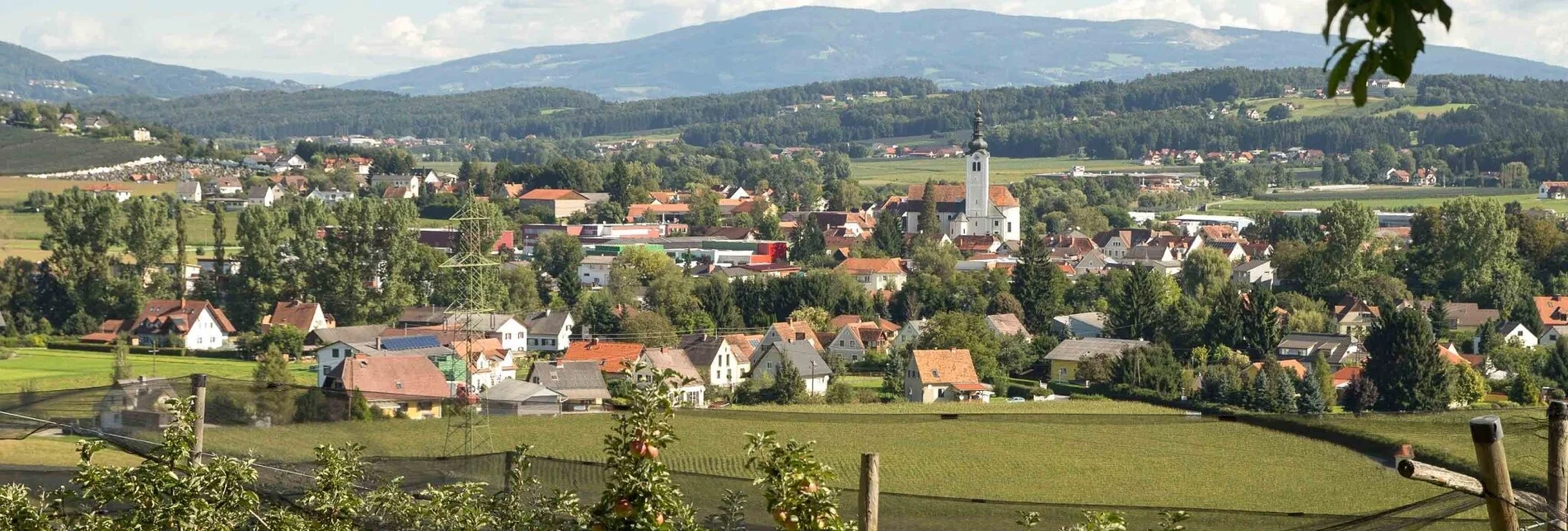 Bike Riding Beetle bean tour with panoramic view - Touren-Impression #1 | © Oststeiermark Tourismus