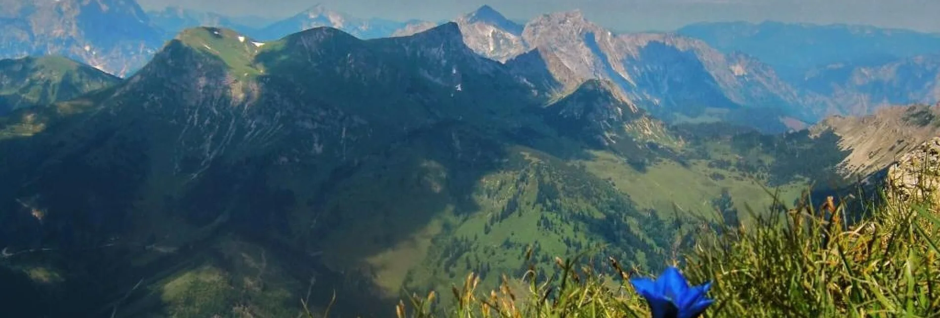 Bergtour Reiting - der Blumenberg - Touren-Impression #1 | © TV Hochsteiermark