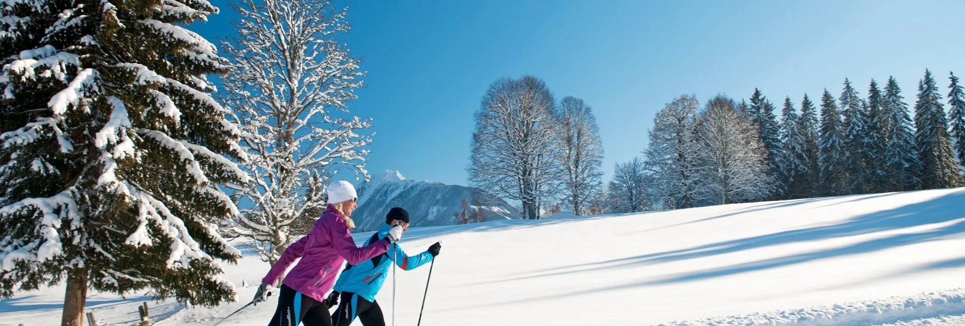 Langlauf Skating Standardloipe West - Touren-Impression #1 | © Tourismusverband Ramsau am Dachstein