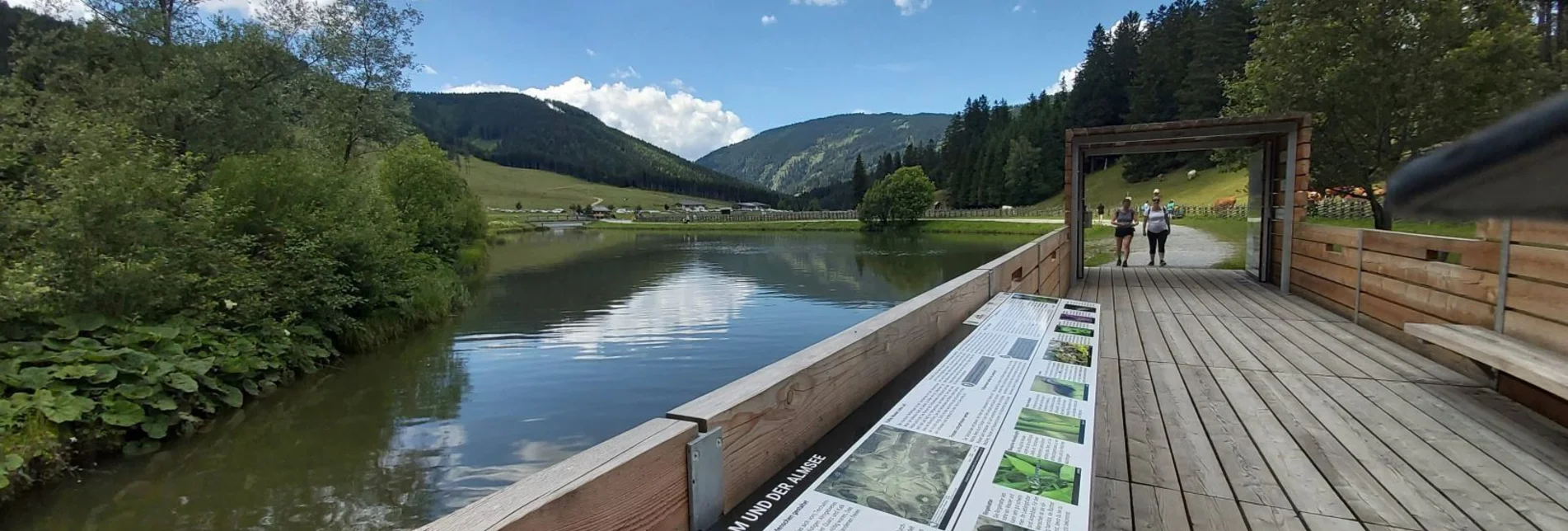 Wanderung Teichalm-Runde mit Moorlehrpfad, Teichalm - Touren-Impression #1 | © Oststeiermark Tourismus