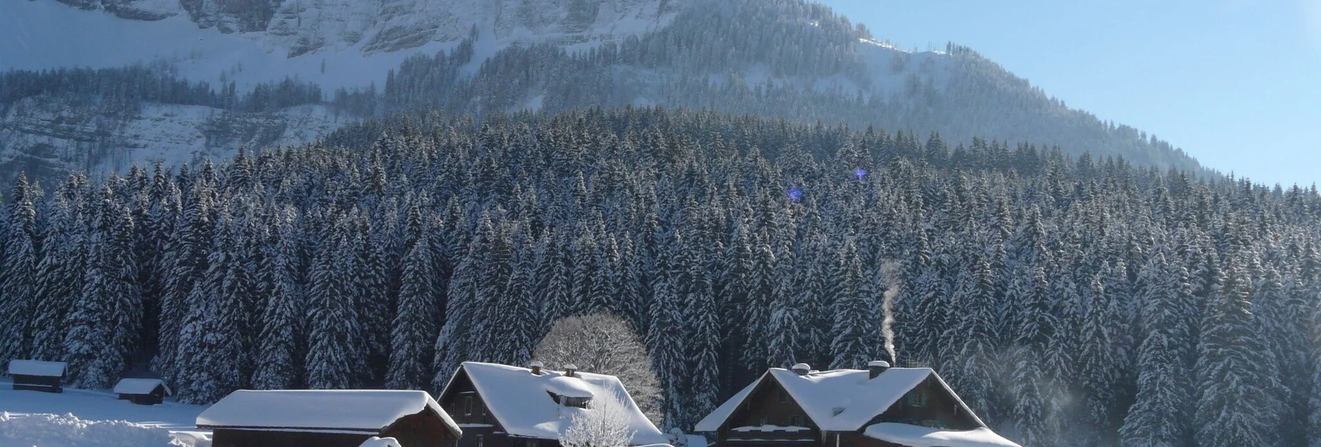 Langlauf klassisch Blaa Alm - Rettenbach Loipe - Touren-Impression #1 | © Ausseerland