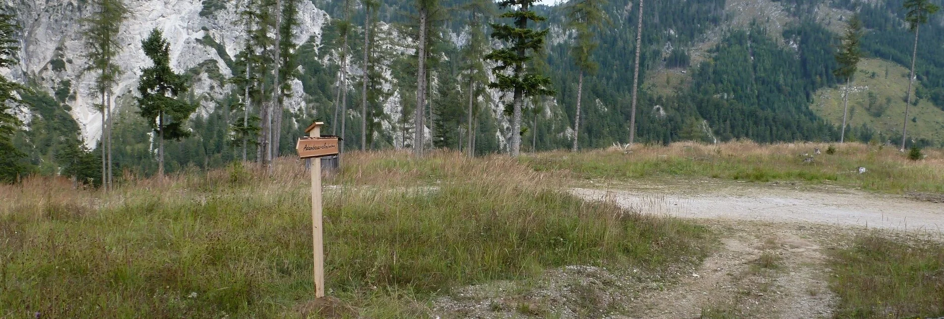 Hiking route Adambaueralm Hinterwildalpen - Touren-Impression #1 | © Tourismusverband Wildalpen