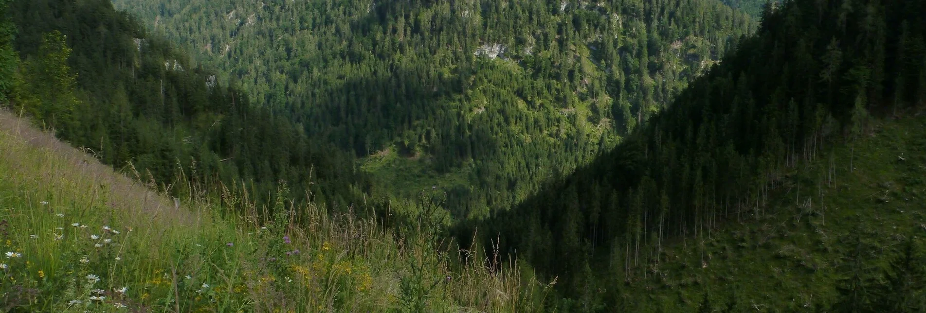 Hiking route High  Trail Wildalpen - Hinterwildalpen - Touren-Impression #1 | © Tourismusverband Wildalpen