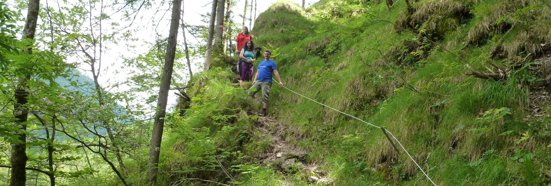 Hiking route Kräuterhalsrunde Wildalpen - Touren-Impression #1 | © Tourismusverband Wildalpen