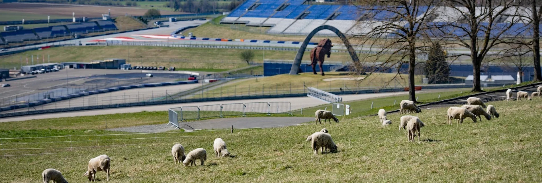 Radfahren Nimm´s Radl 01 - Red Bull Ring Runde - Touren-Impression #1 | © Erlebnisregion Murtal