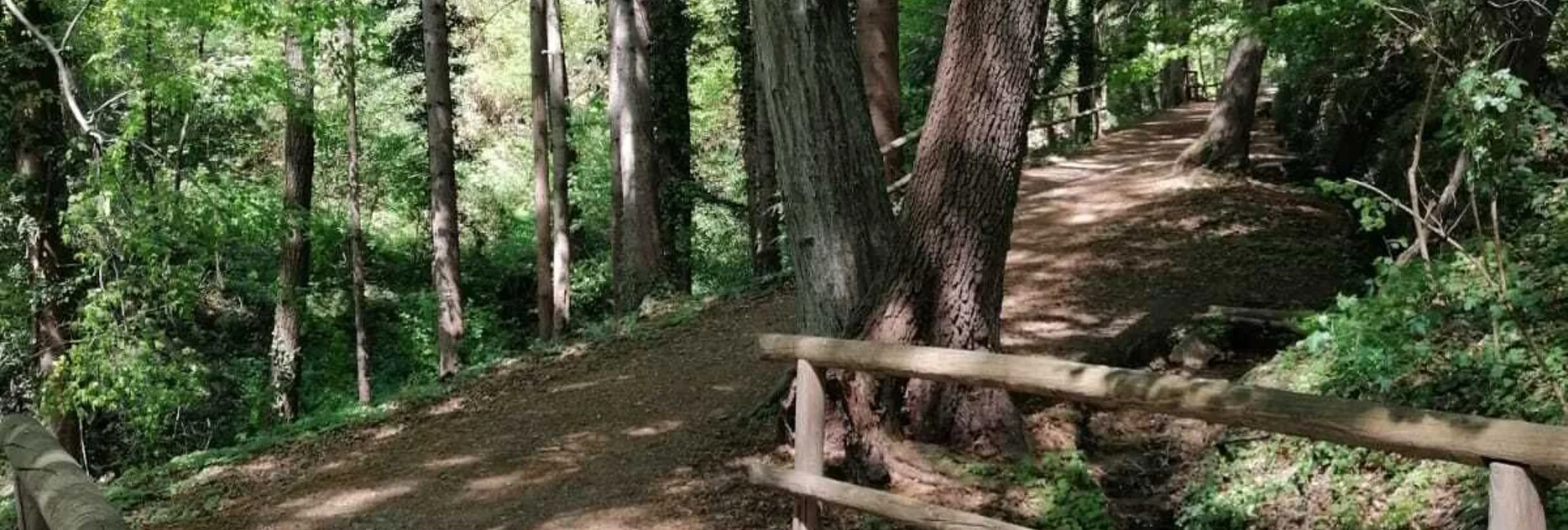 Hiking route Marian pilgrimage route, Hartberg - Touren-Impression #1 | © Oststeiermark Tourismus