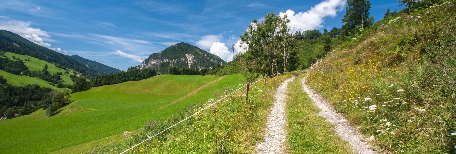 Wanderung Pichl-Rundweg - Touren-Impression #1 | © Gerhard Pilz