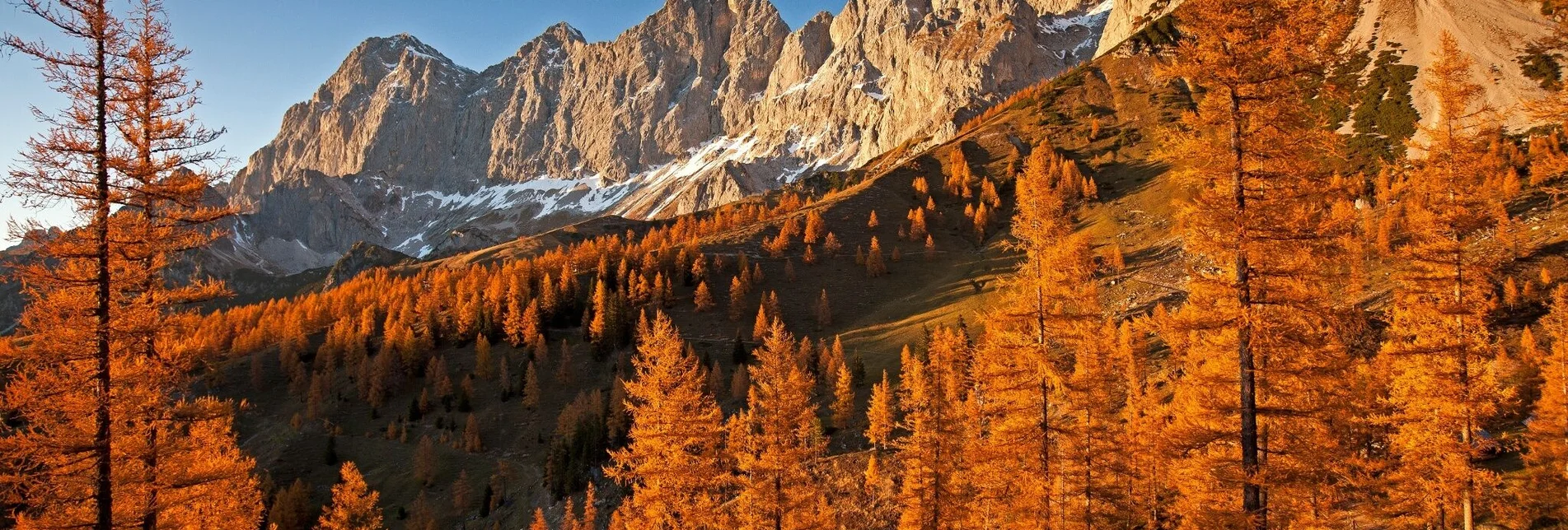 Hiking route Roseggersteig - Touren-Impression #1 | © Erlebnisregion Schladming-Dachstein