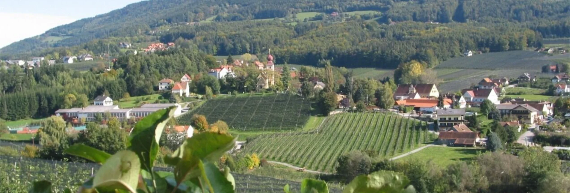 Wanderung Rosenkogel- Kulmweg, Puch bei Weiz - Touren-Impression #1 | © Oststeiermark Tourismus