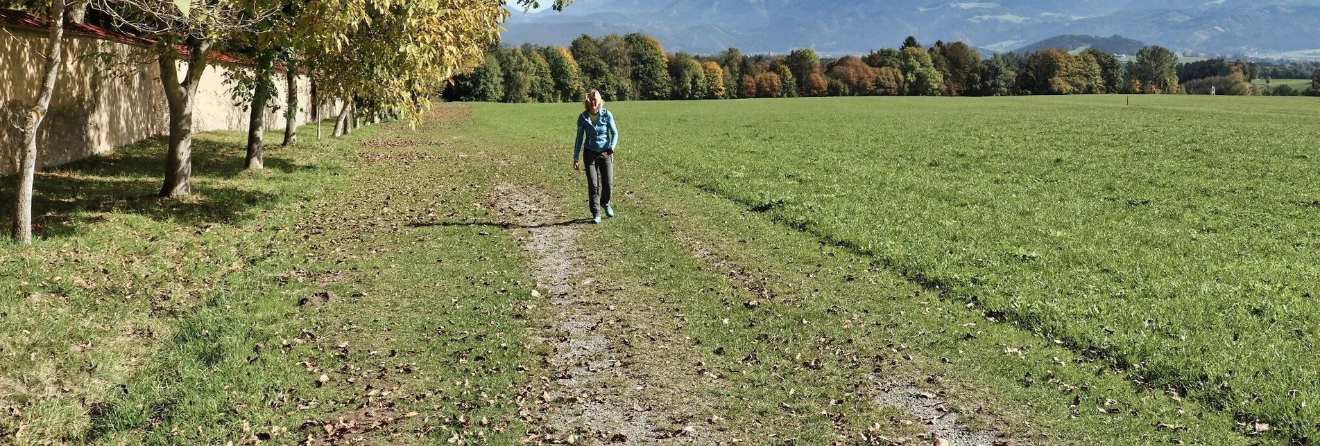 Hiking route 28a - Seckauer Rundwanderweg - Touren-Impression #1 | © Weges OG