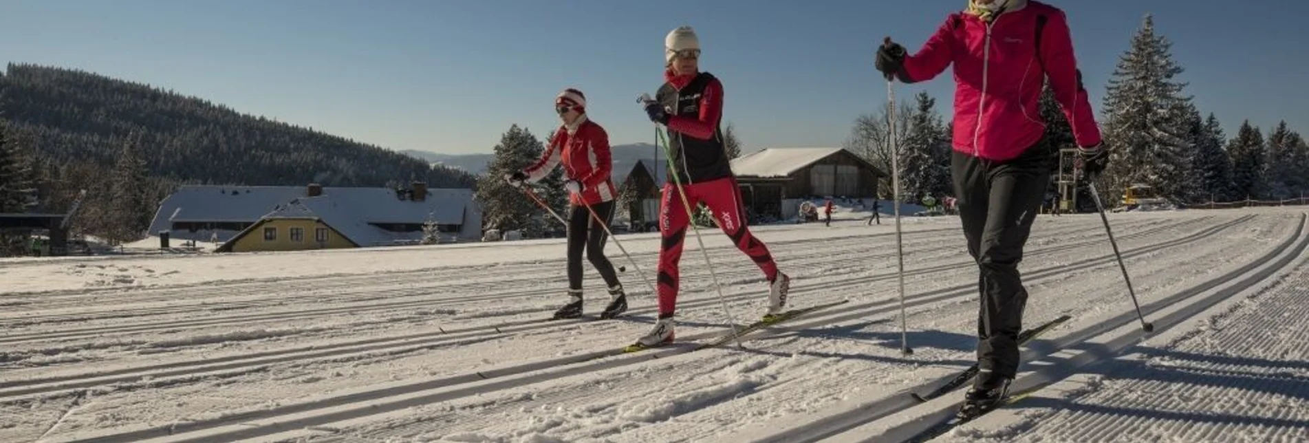 Ski-nordic-classic House trail Jogllandloipe, St. Jakob im Walde - Touren-Impression #1 | © GH Orthofer, Bernhard Bergmann