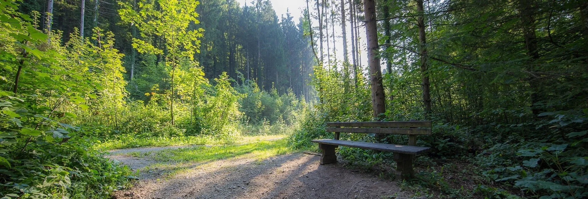 Hiking route Pure pleasure in Rein - Touren-Impression #1 | © Region Graz