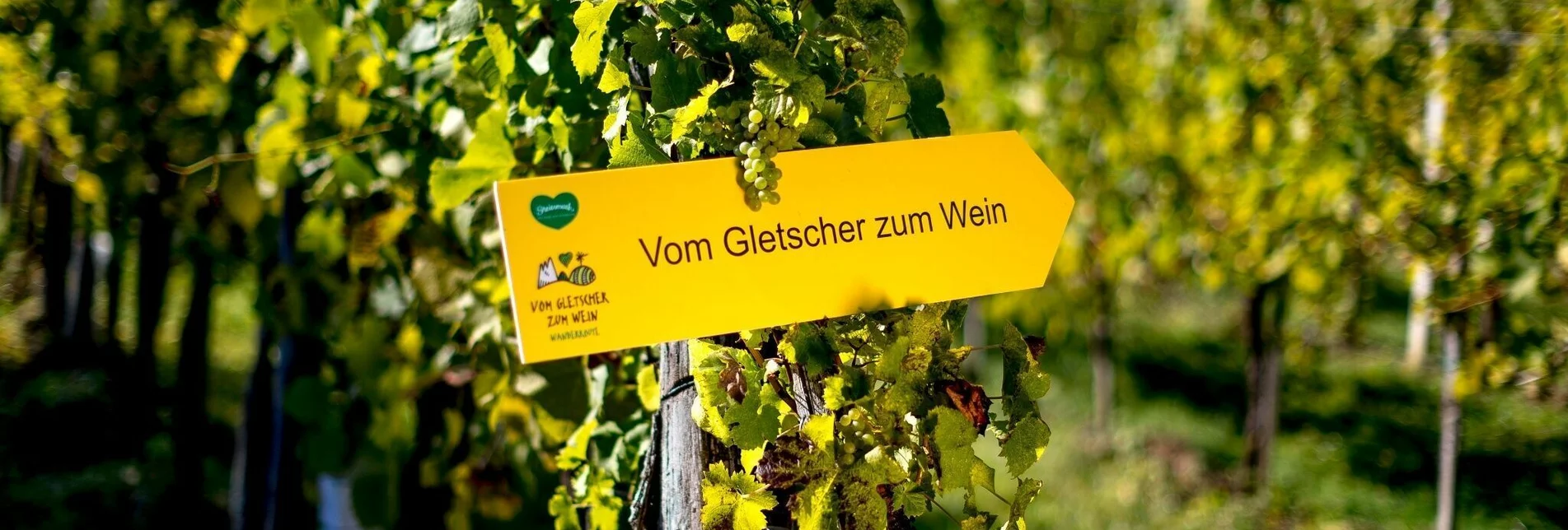 Wanderung Vom Gletscher zum Wein (Teilstück) - Touren-Impression #1 | © Steiermark Tourismus