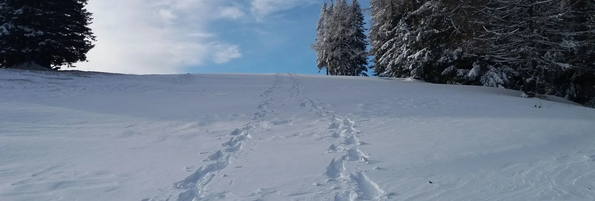 Schneeschuh Schneeschuh-Runde am Brandkogel - Touren-Impression #1 | © Region Graz