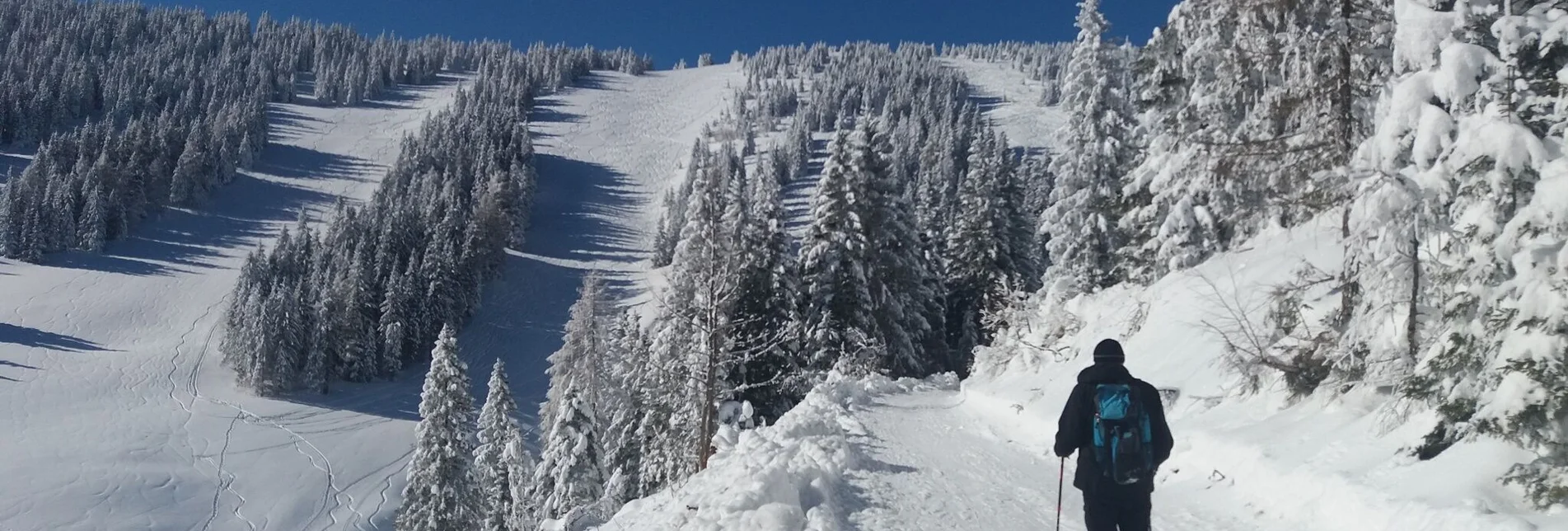 Schneeschuh Ochsenrunde - Touren-Impression #1 | © Region Graz