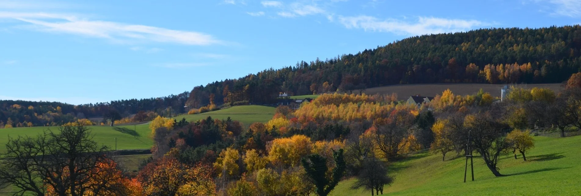 Wanderung M4 Fichtenbründl-Weg - Bad Waltersdorf - Touren-Impression #1 | © TV Thermen- & Vulkanland