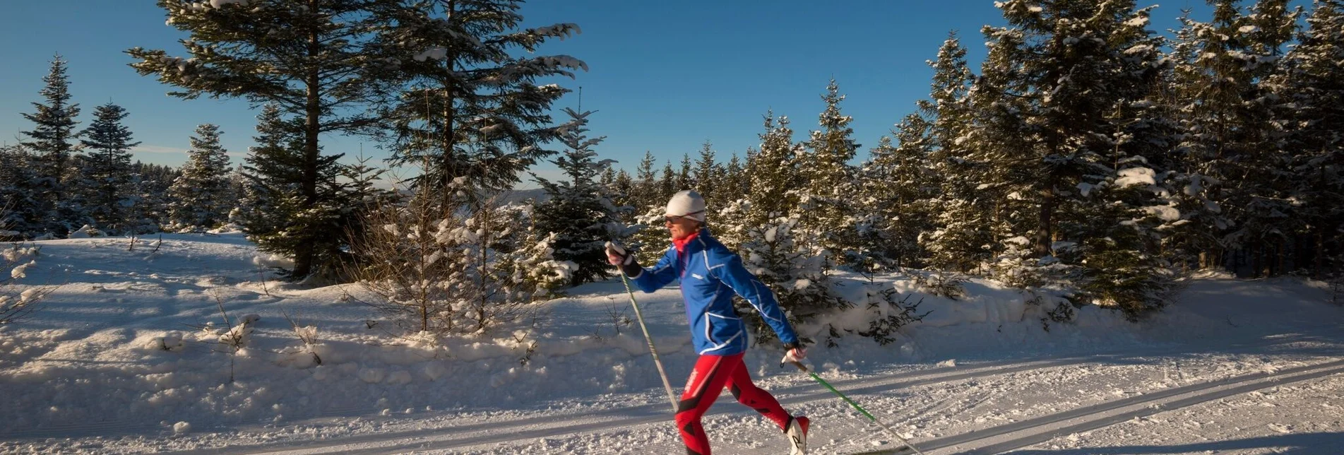 Ski-nordic-classic Joglland Loipe Sankt Jakob im Walde - Hiking trail, St. Jakob im Walde - Touren-Impression #1 | © Gasthof Orthofer