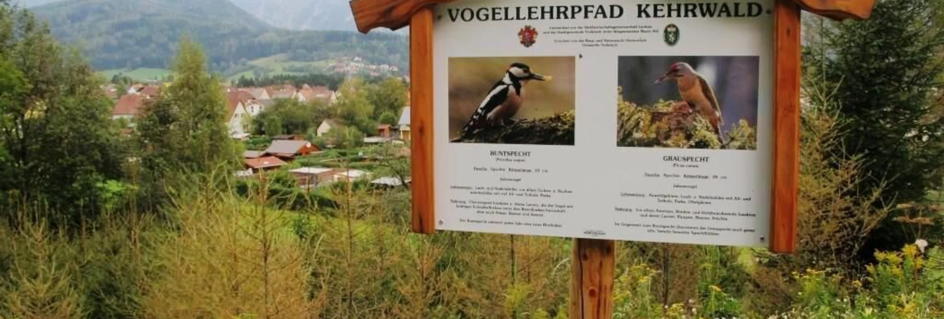 Theme path Vogellehrpfad Kehrwald - Touren-Impression #1 | © TV Erzberg Leoben