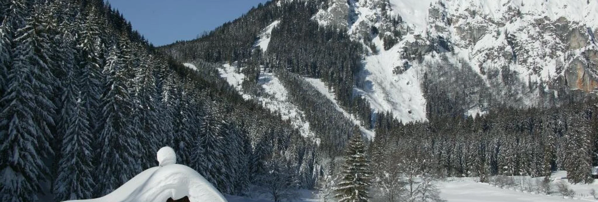 Langlauf klassisch Eisenerzer Ramsau Loipe - Touren-Impression #1 | © Tourismusverband ERZBERG LEOBEN