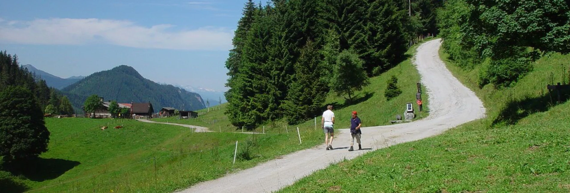 Wanderung Wander- und Hüttenerlebnis Halserberg-Rittisberg - Touren-Impression #1 | © Schladming-Dachstein