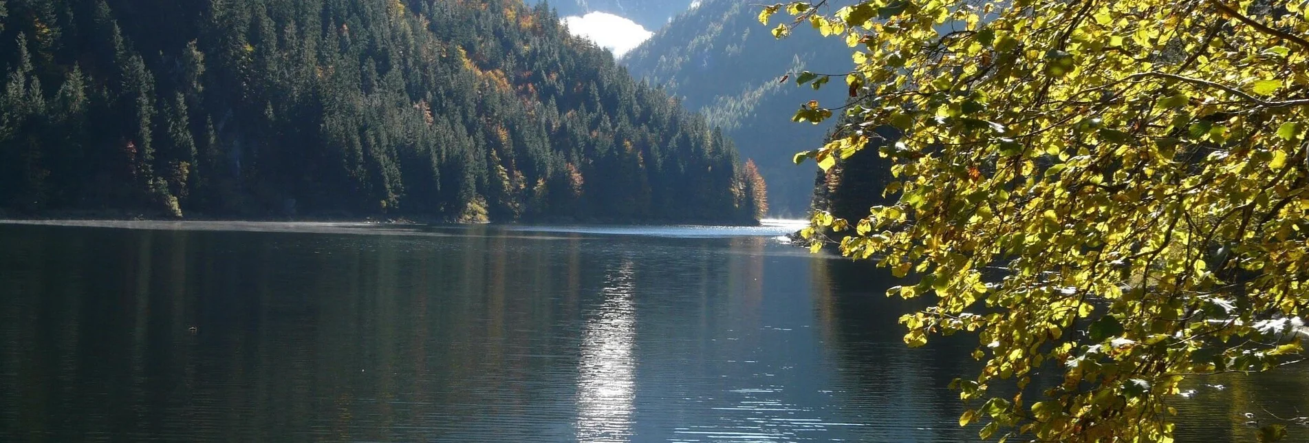 Wanderung Der Waldsteig beim Salza-Stausee - Touren-Impression #1 | © TVB Ausseerland - Salzkammergut | Hermann Rastl