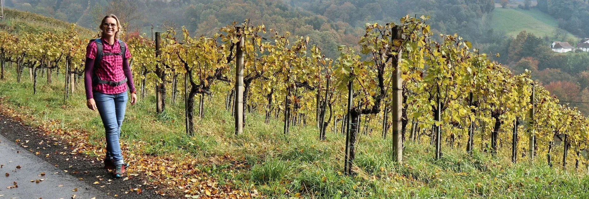 Wanderung Wein- und Turmweg - Touren-Impression #1 | © Weges OG