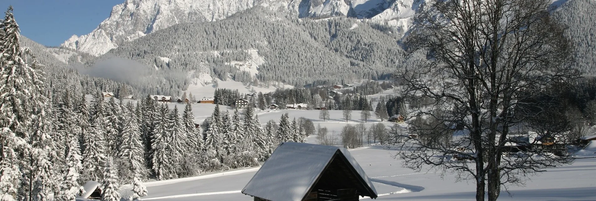 Winter Hiking Kulmberg Loop Trail - Touren-Impression #1 | © Erlebnisregion Schladming-Dachstein