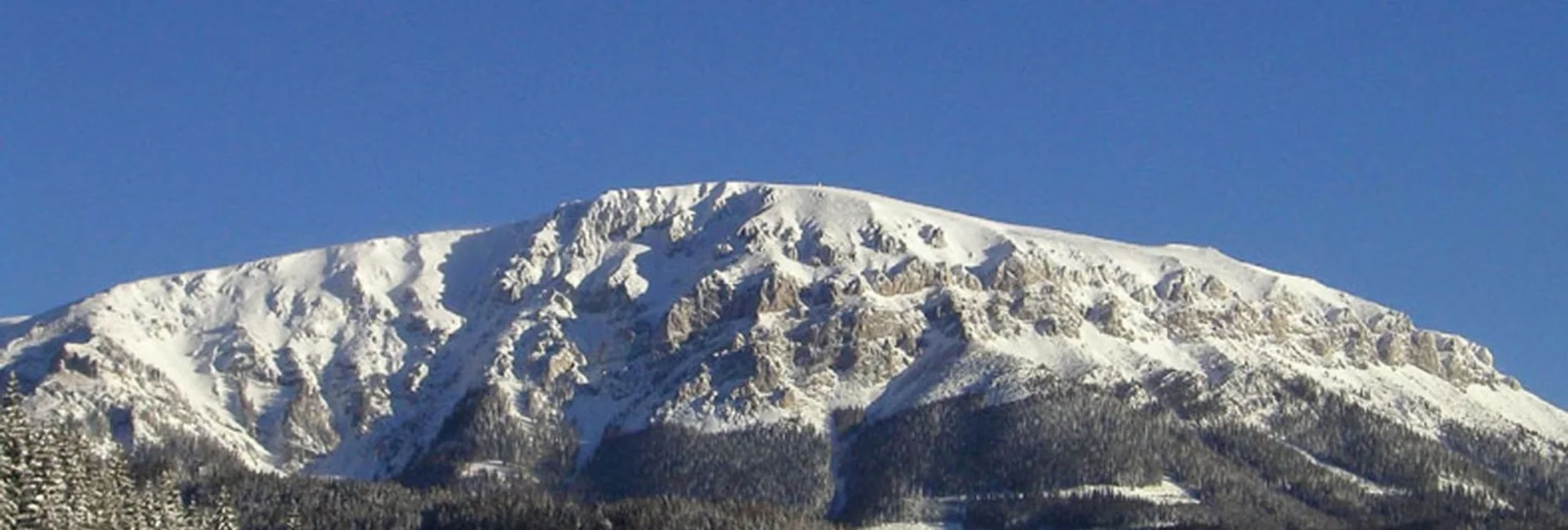 Snowshoe walking Schneeschuhtour zum Hohen Gupf - Touren-Impression #1 | © TV Hochsteiermark